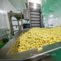 Ligne de production automatique des frites